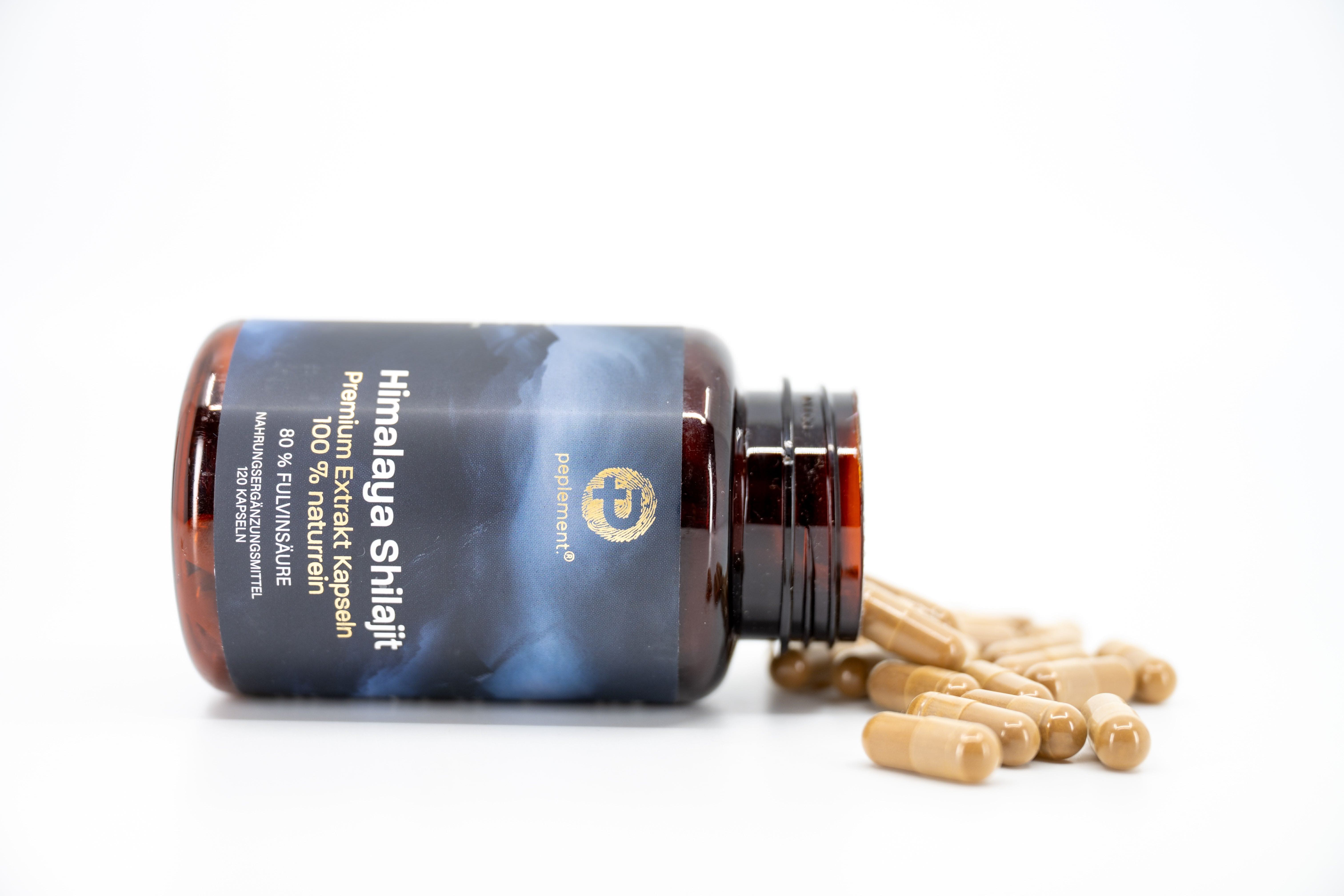 Anti-Stress Bundle mit Shilajit & Vitalpilzen