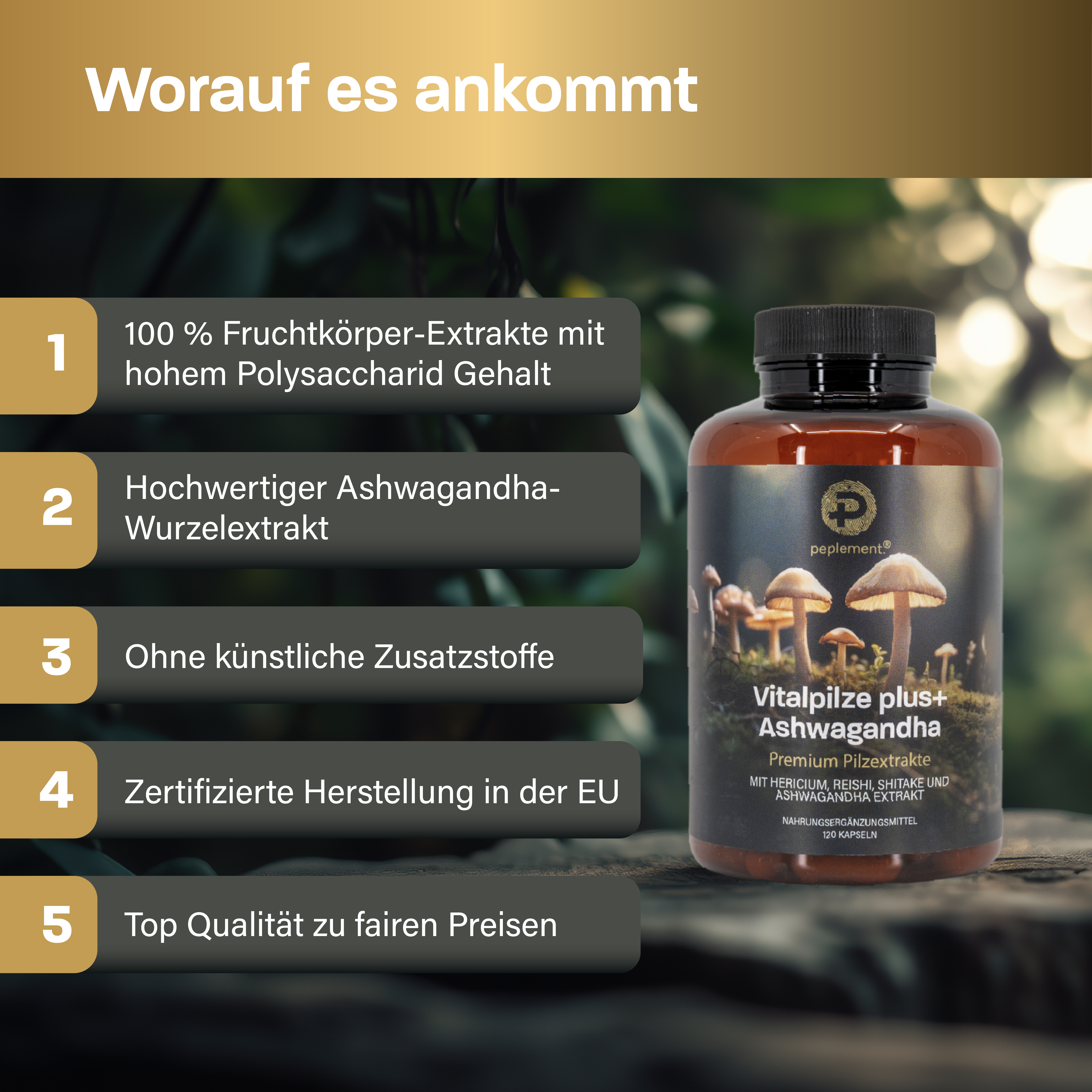 Vitalpilze Komplex Kapseln + Ashwagandha