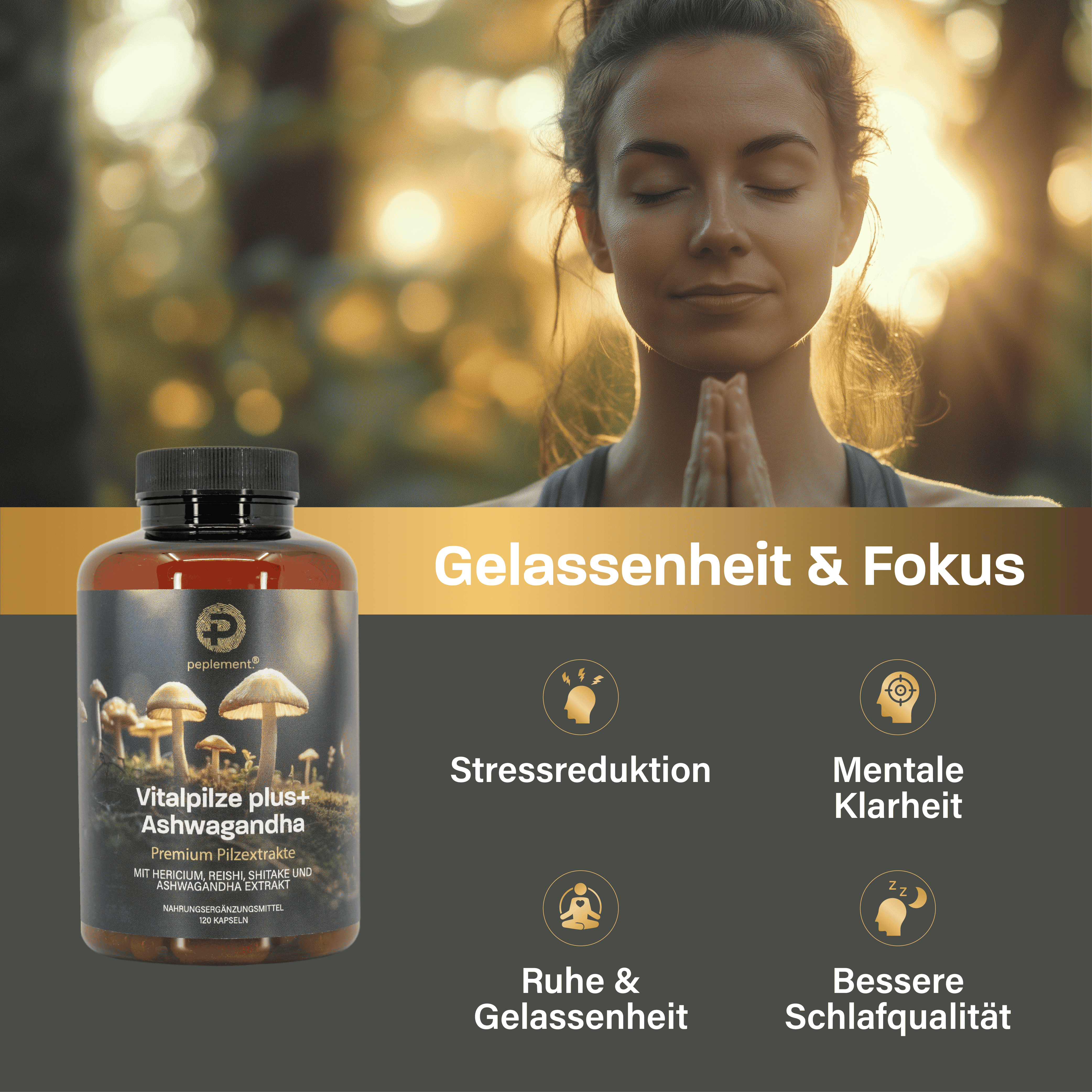 Vitalpilze Komplex Kapseln + Ashwagandha