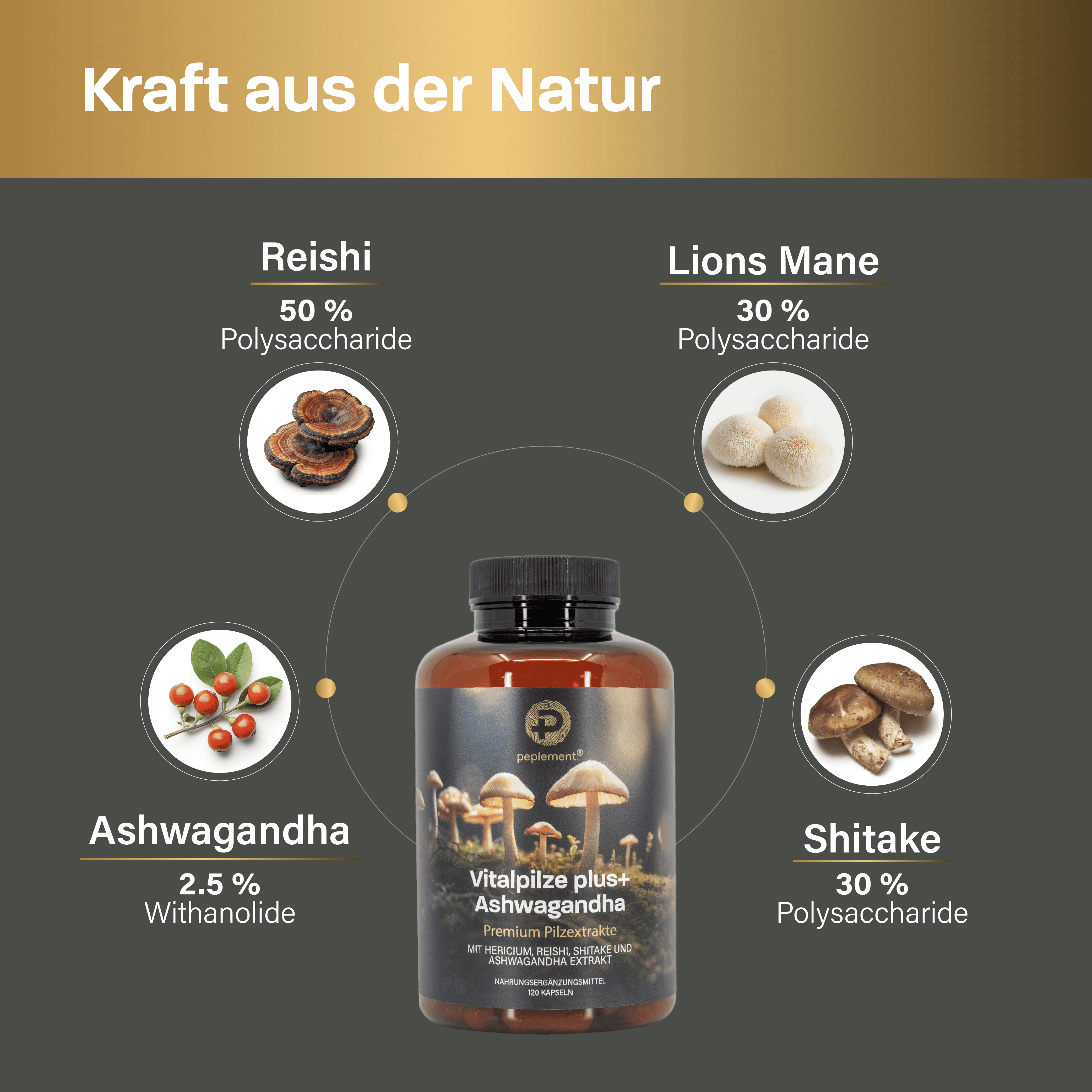 Vitalpilze Komplex Kapseln + Ashwagandha