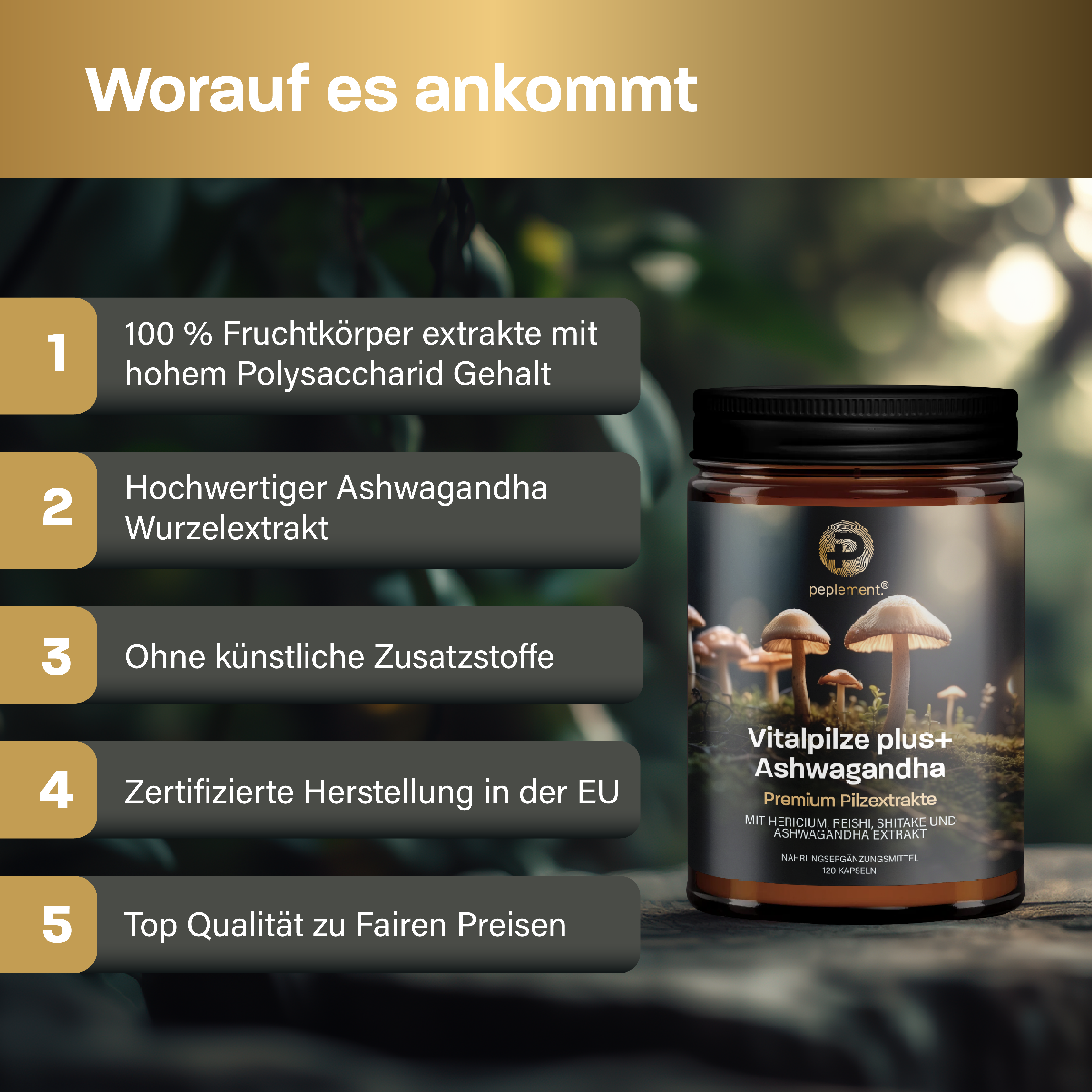 Anti-Stress Bundle mit Shilajit & Vitalpilzen