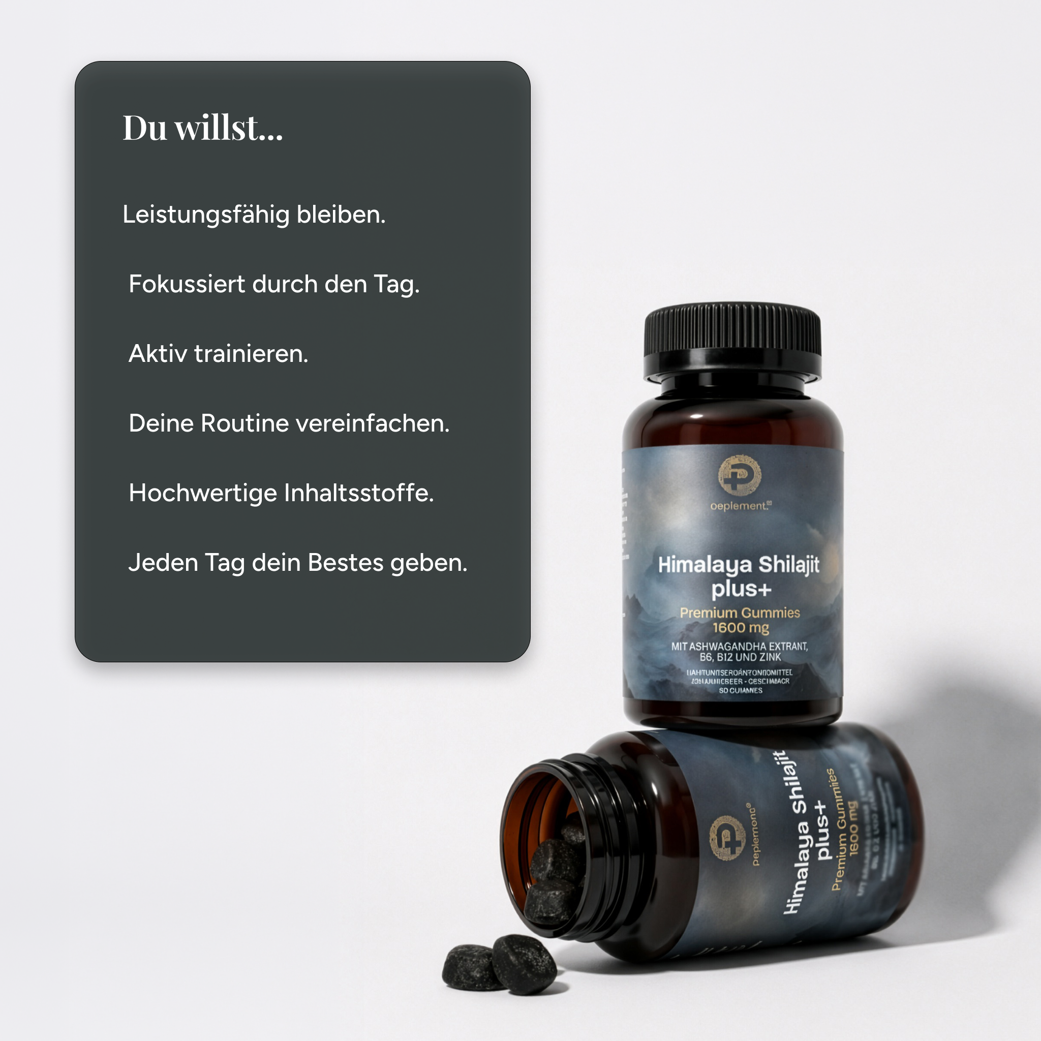 Himalaya Shilajit Gummies + Ashwagandha