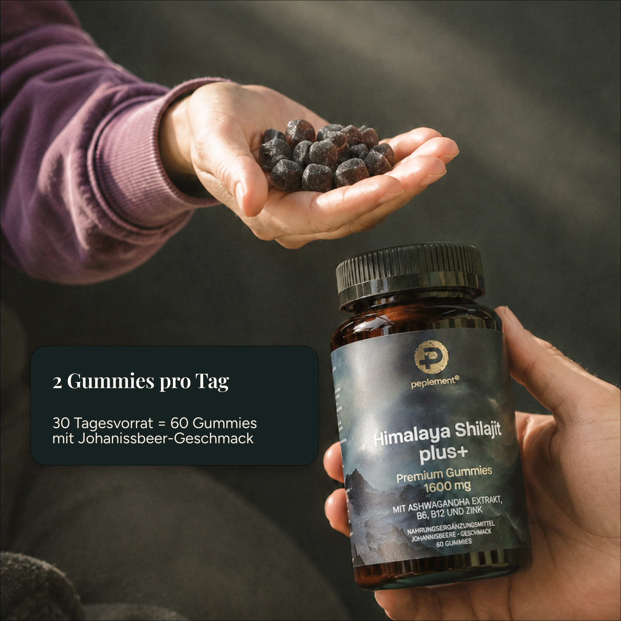 Himalaya Shilajit Gummies + Ashwagandha