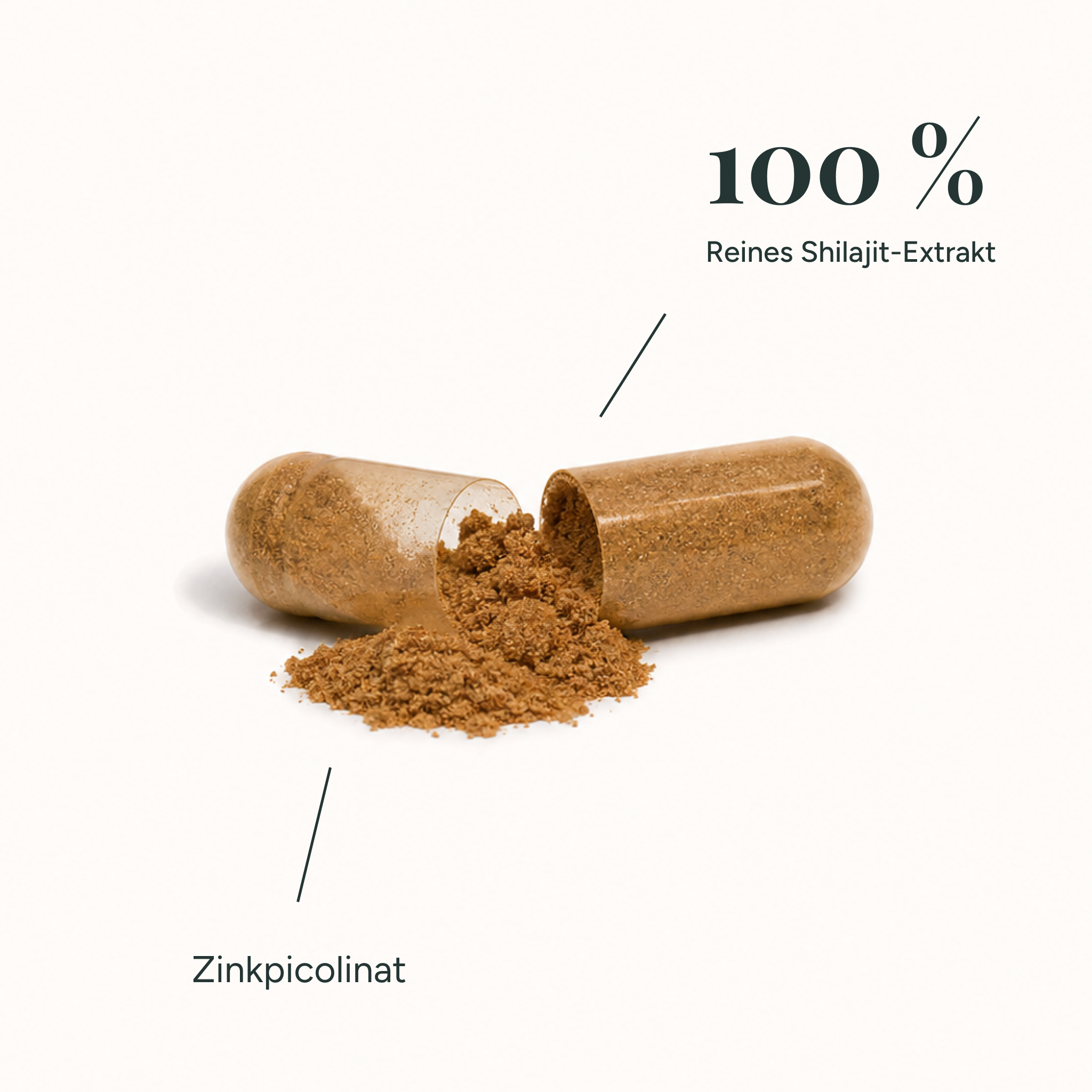 Anti-Stress Bundle - Shilajit, Vitalpilze & Ashwagandha
