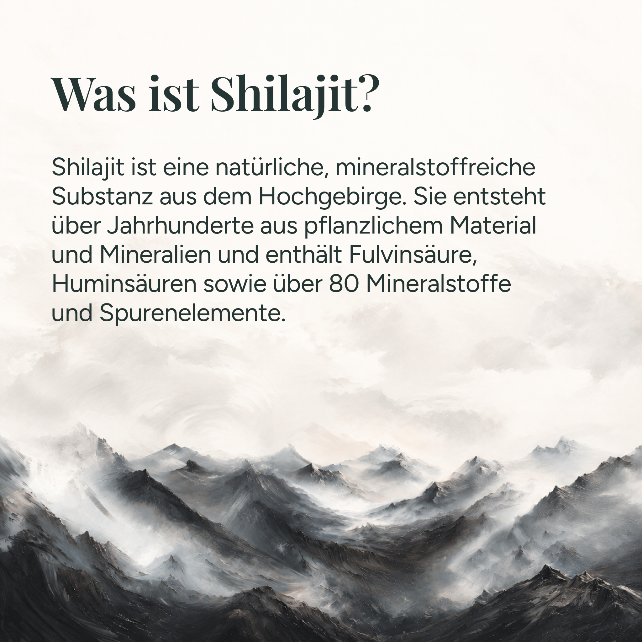 Anti-Stress Bundle - Shilajit, Vitalpilze & Ashwagandha