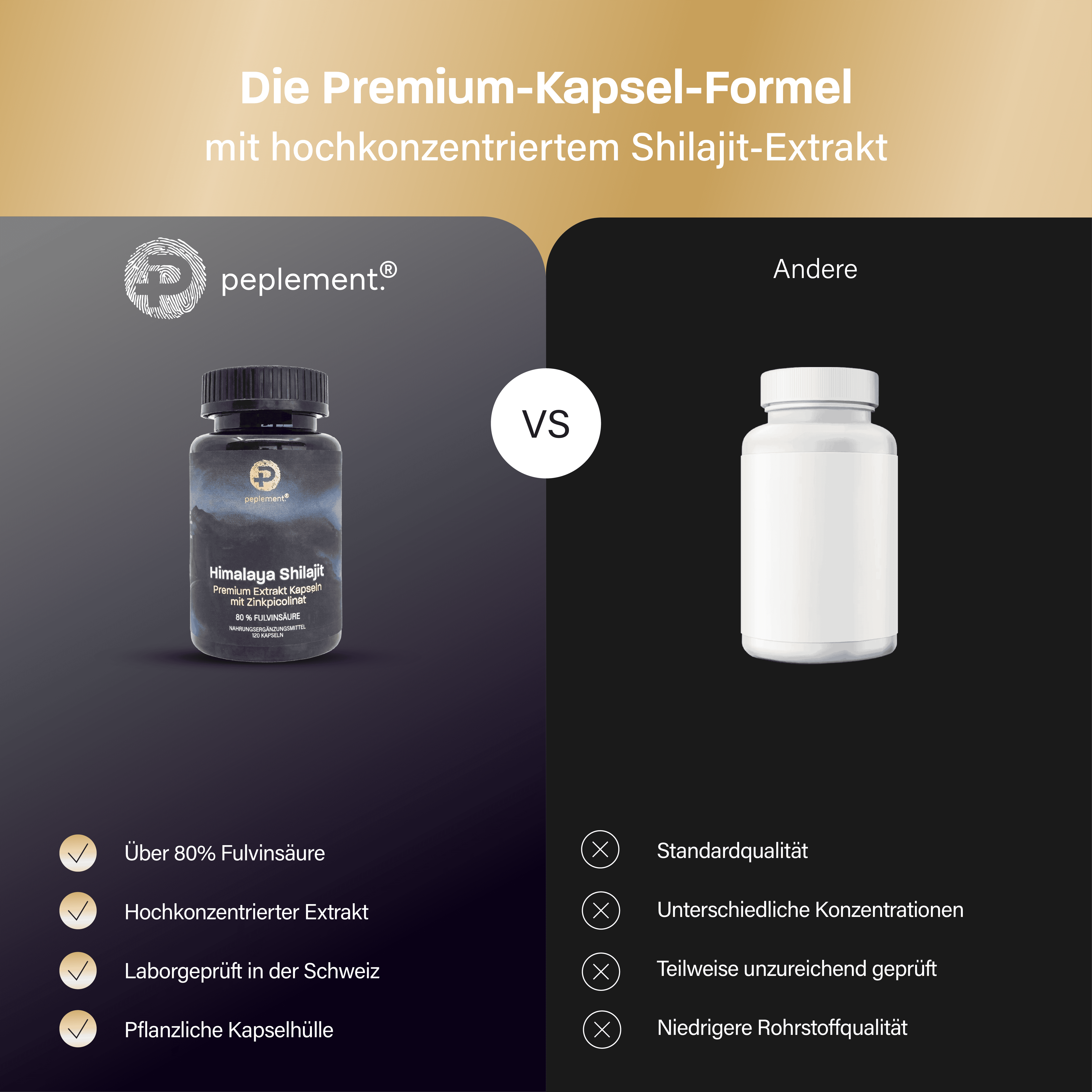 100 % reine Shilajit Kapseln aus dem Himalaya, ohne Füllstoffe. Mit 80 % Fulvinsäure und Zinkpicolinat.