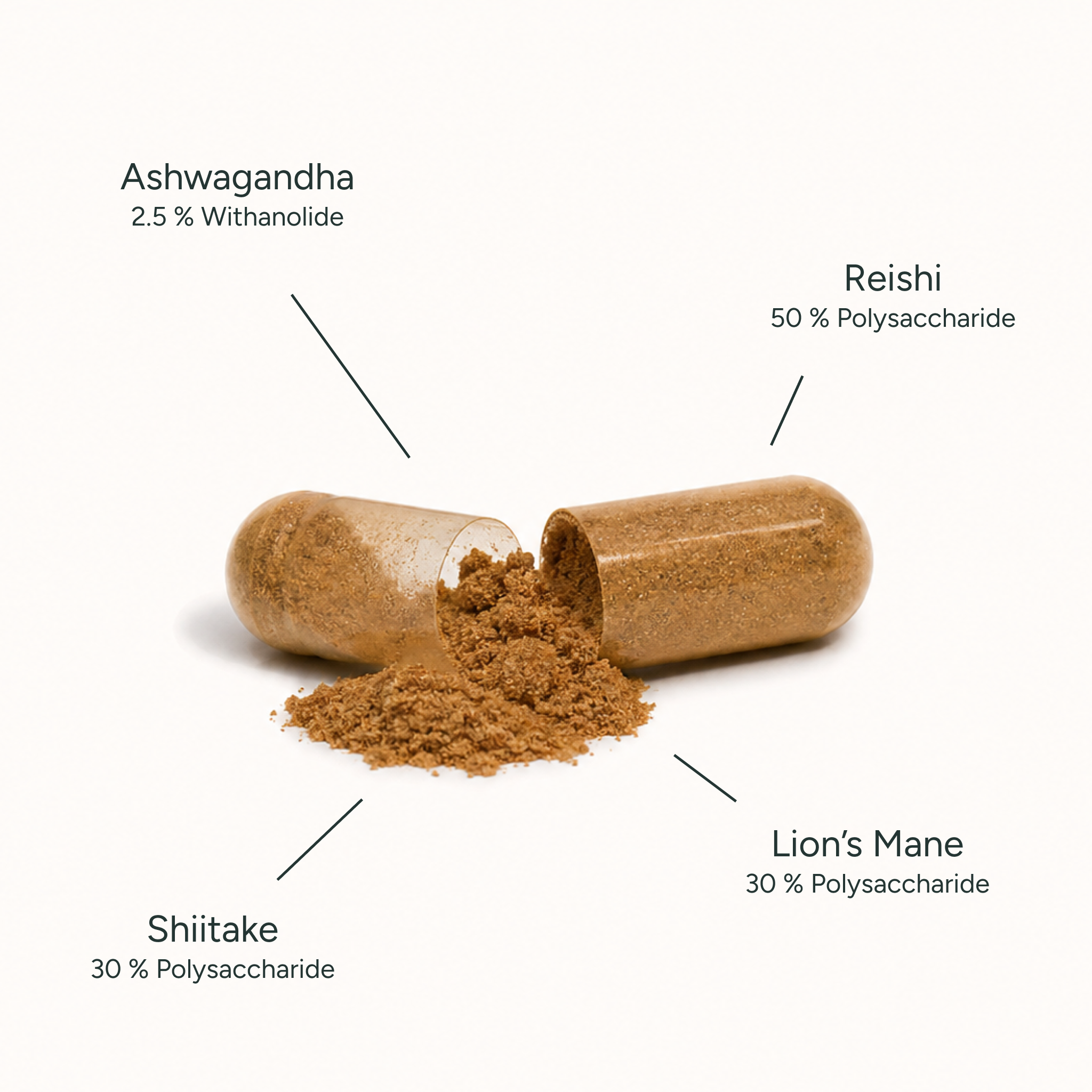 Vitalpilze Komplex Kapseln + Ashwagandha